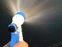 水洗い～拭き上げのメニュー例